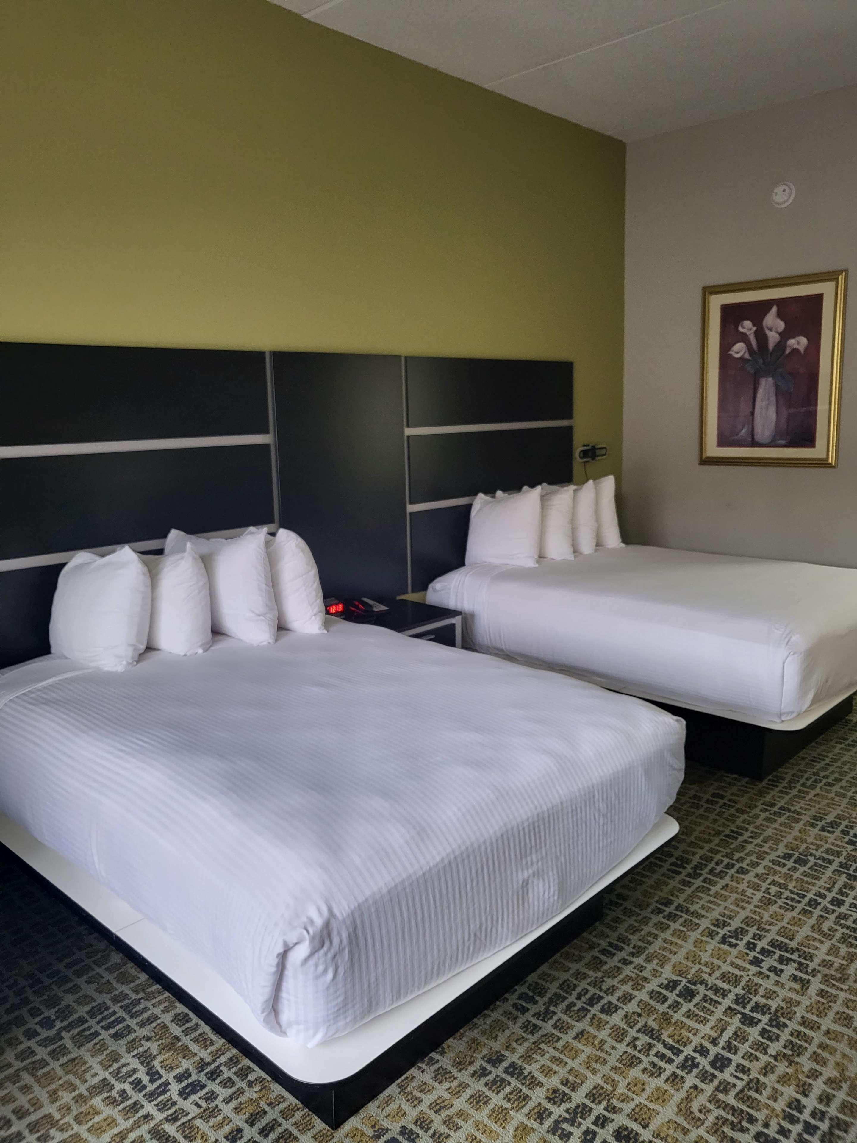 Best Western Kent Narrows Inn Grasonville Εξωτερικό φωτογραφία